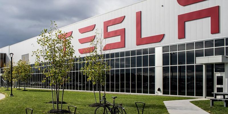 Завод Tesla в Нью-Йорке атаковали постельные клопы