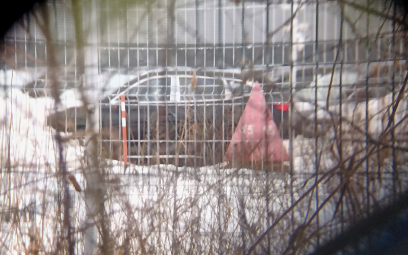 Новый кроссовер Exeed был замечен на заводе Mercedes в Московской области фото
