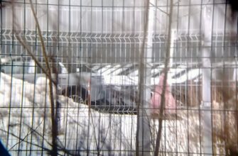 На заводе Mercedes в Подмосковье обнаружены новые кроссоверы Exeed. Фото