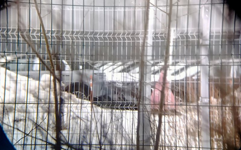 Новый кроссовер Exeed был замечен на заводе Mercedes в Московской области фото